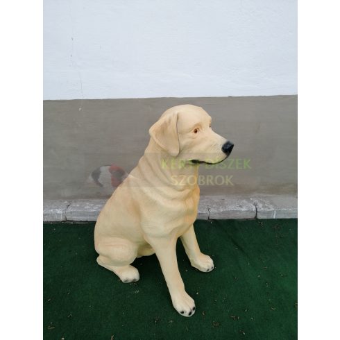 Kutya-Labrador-ülő-70cm
