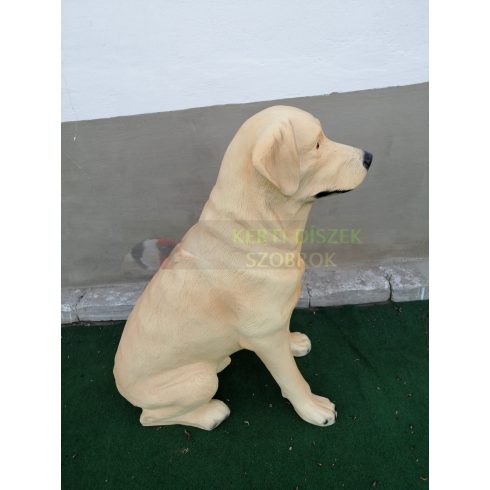 Kutya-Labrador-ülő-70cm