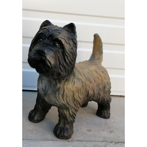 Kutya-Terrier-cairn terrier-38cm