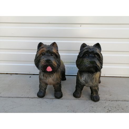 Kutya-Terrier-cairn terrier-38cm