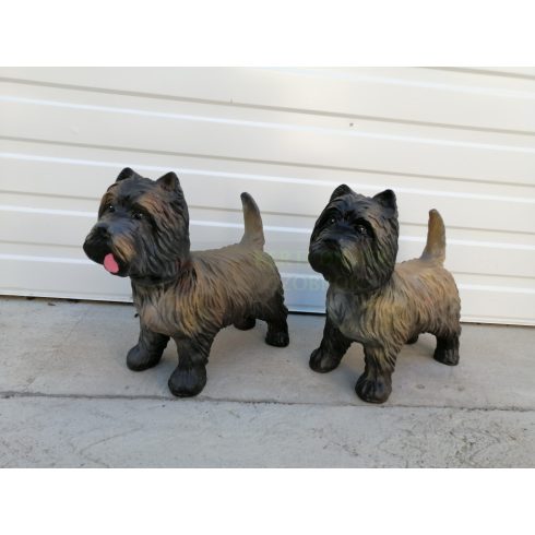 Kutya-Terrier-cairn terrier-38cm
