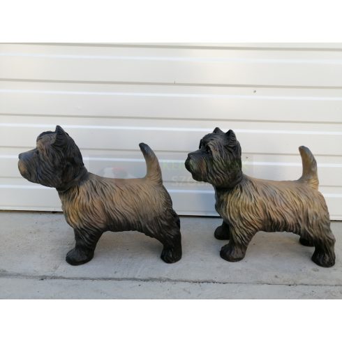 Kutya-Terrier-cairn terrier-38cm