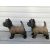 Kutya-Terrier-cairn terrier-38cm