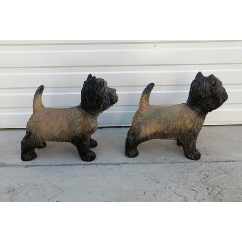 Kutya-Terrier-cairn terrier-38cm