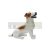 Kutya-Jack Russel terrier-ülő-44cm