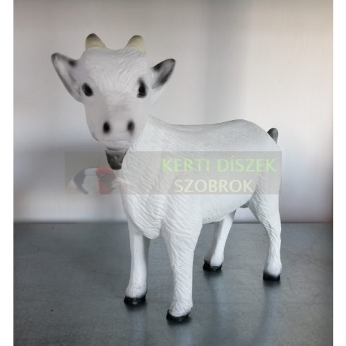 Kecske-25cm