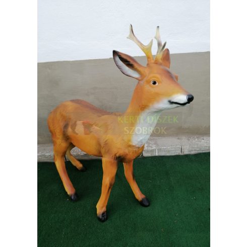 Őzbak-76 cm-előre néző