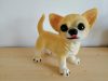 Kutya-Chihuahua/Csivava Kutya-Chihuahua/Csivava