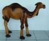 Teve-Dromedár/egypúpú-80 cm Teve-Dromedár/egypúpú-80 cm