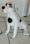 Kutya-Jack Russel Terrier-ülő/hosszú farkú Kutya-Jack Russel Terrier-ülő/hosszú farkú