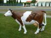 Tehén-155cm-barna foltos-életnagyságú Tehén-155cm-barna foltos-életnagyságú