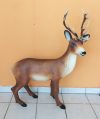 Szarvas- 90 cm-oldalra néző Szarvas- 90 cm-oldalra néző