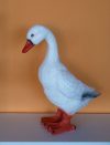 Kacsa-40cm/lenéző Kacsa-40cm/lenéző